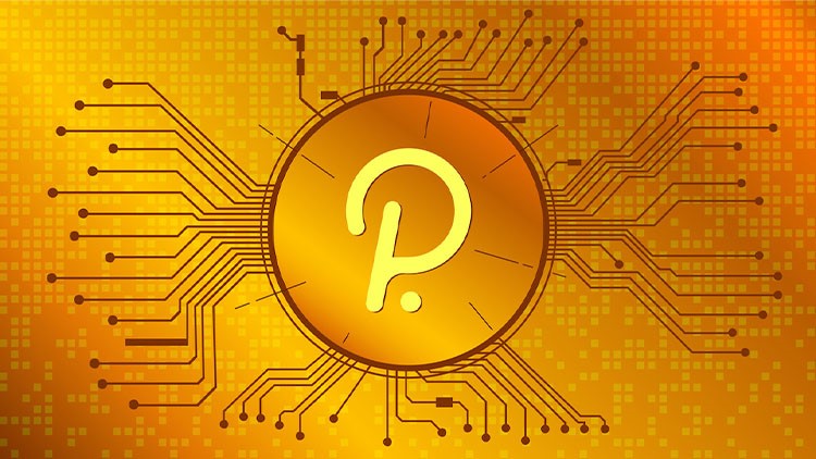 ارز دیجیتال پولکادات