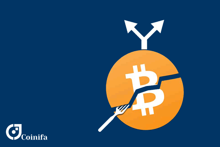 بیت کوین کش چیست