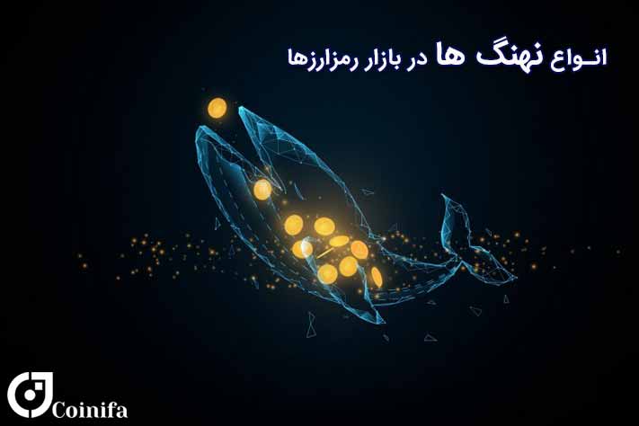 انواع نهنگ ها در بازار رمزارزها